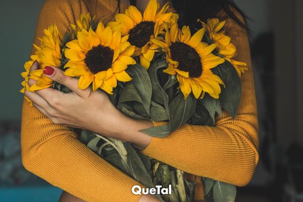 ¿Qué significa que tu pareja te regale girasoles?